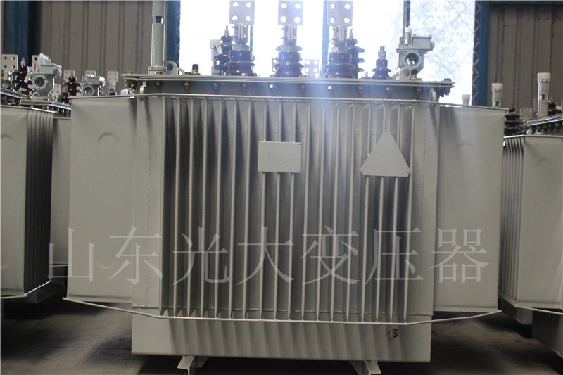 新昌S20-1000KVA油浸式变